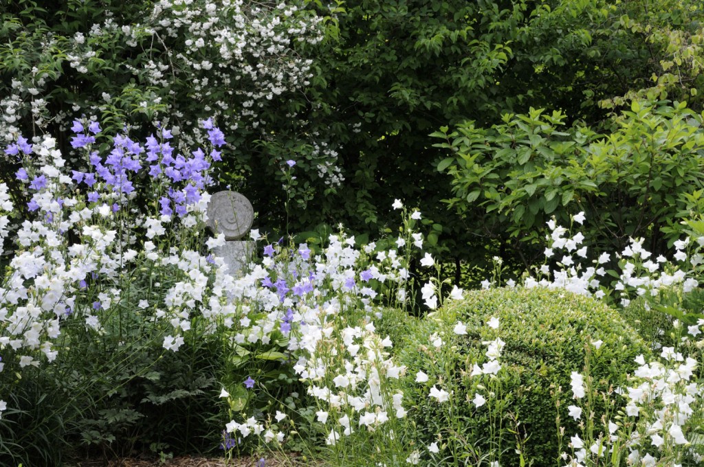 Blühende Beete in den Gärten