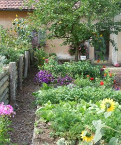 Holunderwunderwelt Bauerngarten